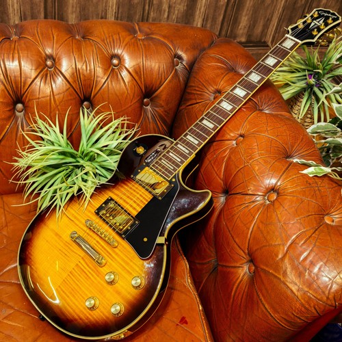 Epiphone les paul - custom, plus